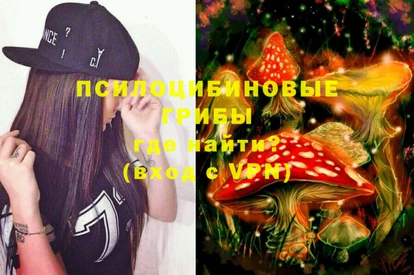 тгк Аркадак