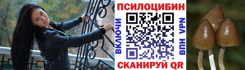 где продают наркотики  Мантурово  Галлюциногенные грибы мицелий 